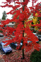 seattle_visit