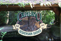 b_capilano_canada_suspension_bridge