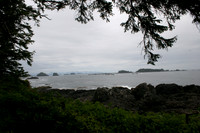 4_wild_pacific_trail_ucluelet