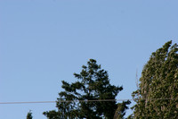 3_central_vancouver_wildlife