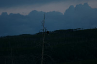19JUN12 Yellowstone_Upper_Loop